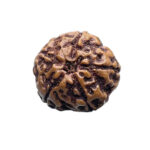 Five Mukhi Hanuman - (18.80 mm)
