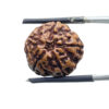 Five Mukhi Hanuman - (18.80 mm)