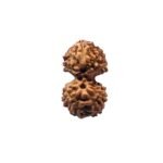Gaurishankar Indonesian Rudraksha - 16.29 Mm