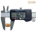 Gaurishankar Indonesian Rudraksha - 16.29 MM