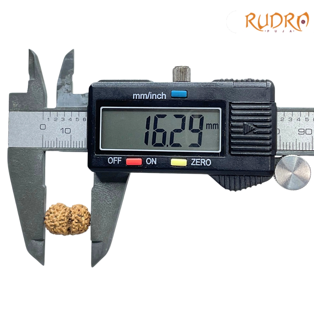 Gaurishankar Indonesian Rudraksha - 16.29 MM
