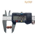 Gaurishankar Indonesian Rudraksha - 17.39 Mm