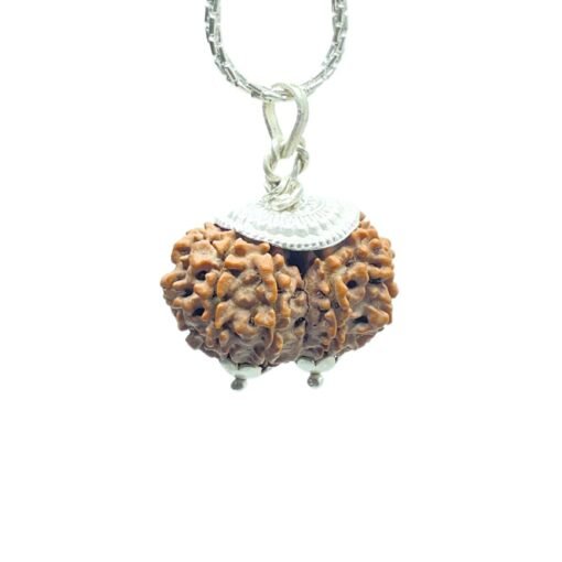 Gaurishankar Rudraksha Silver Capped With Silver Chain