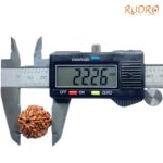 Original Rudraksha 5 Mukhi Nepal - (22.26 mm)