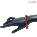 Rudraksha-With-Red-Carnelian-Bracelet-Dp-C.jpg