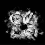 4 Mukhi Rudraksha 20.35 Mm X-Ray