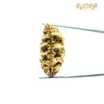 1 Mukhi Rudraksha Nepal ( 41.25 Mm )