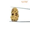 1 Mukhi Rudraksha Nepal Small (31.52 Mm )