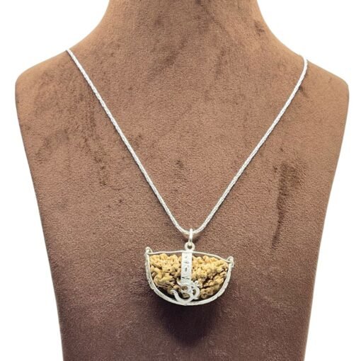 1 Mukhi Rudraksha Silver Capping With Silver Chain (46.65 Mm)