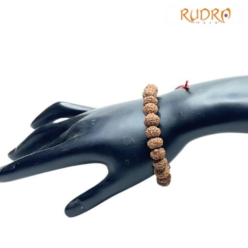 10 Mukhi Rudraksha Bracelet ( Indonesian Bead )