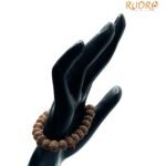 10 Mukhi Rudraksha Bracelet ( Indonesian Bead )