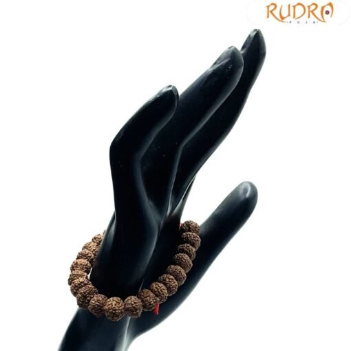 10 Mukhi Rudraksha Bracelet ( Indonesian Bead )