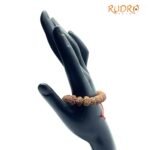 10 Mukhi Rudraksha Bracelet ( Indonesian Bead )