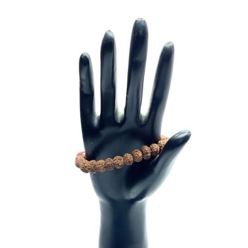 10 Mukhi Rudraksha Bracelet ( Indonesian Bead )