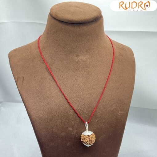 Collector 7 Mukhi Silver Capped Rudraksha Nepal ( 22.60 Mm )
