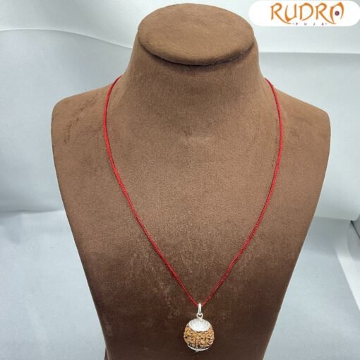 Collector 7 Mukhi Silver Capped Rudraksha Nepal ( 22.40 Mm )
