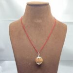 Collector 7 Mukhi silver Capped Rudraksha Nepal ( 22.60 MM )