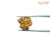 3-Mukhi-Rudraksha-Nepal-16.55-Mm-Bp-C.jpg