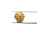 3-Mukhi-Rudraksha-Nepal-16.55-MM-MP-C.jpg