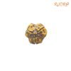 3 Mukhi Rudraksha Nepal ( 17.20 Mm ) 10 3-Mukhi-Rudraksha-Nepal-17.20-Mm-Mp-C.jpg