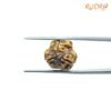 3 Mukhi Rudraksha Nepal ( 17.20 Mm ) 12 3-Mukhi-Rudraksha-Nepal-17.20-Mm-Lp-C.jpg