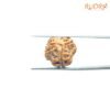 3 Mukhi Rudraksha Nepal ( 18.23 Mm ) 12 3-Mukhi-Rudraksha-Nepal-18.23-Mm-Rp-C.jpg