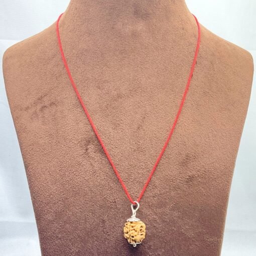 3-Mukhi-Silver-Capped-Rudraksha-Nepal-15.53-Mm-Mp.jpg