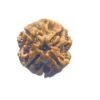 Rudrapuja 4 Mukhi Rudraksha Nepal - (17.60 Mm ) Small