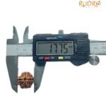 4 Mukhi Rudraksha Nepal - (17.75 Mm )