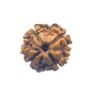 4 Mukhi Rudraksha Nepal - (17.75 Mm ) 16 4 Mukhi Rudraksha Nepal - (17.75 Mm )