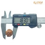 4 Mukhi Rudraksha Nepal - ( 18.30 Mm )