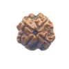 4 Mukhi Rudraksha Nepal - ( 18.40 Mm ) 16 4 Mukhi Rudraksha Nepal - ( 18.40 Mm )