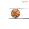4-Mukhi-Rudraksha-Nepal-18.70-Mm-Bp-C.jpg