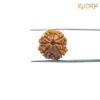 4-Mukhi-Rudraksha-Nepal-18.70-Mm-Fp-C.jpg