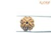 4 Mukhi Rudraksha Nepal - ( 20.40 Mm ) 10 4-Mukhi-Rudraksha-Nepal-19.40-Mm-Fp-C-1.Jpg