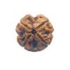 4 Mukhi Rudraksha Nepal - ( 19.80 Mm ) 16 4 Mukhi Rudraksha Nepal - ( 19.80 Mm )