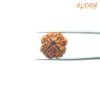 4 Mukhi Rudraksha Nepal - ( 19.30 Mm ) 13 4-Mukhi-Rudraksha-Nepal-19.90-Mm-Fp-C-1.Jpg