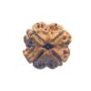 4 Mukhi Rudraksha Nepal - ( 20.20 Mm ) 16 4 Mukhi Rudraksha Nepal - ( 20.20 Mm )