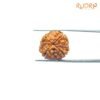 4 Mukhi Rudraksha Nepal - ( 20.30 Mm ) 10 4-Mukhi-Rudraksha-Nepal-20.30-Mm-Fp-C.jpg