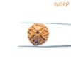 4 Mukhi Rudraksha Nepal - ( 20.30 Mm ) 12 4-Mukhi-Rudraksha-Nepal-20.30-Mm-Rp-C-2.Jpg