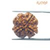 4 Mukhi Rudraksha Nepal - ( 20.55 Mm ) 14 4 Mukhi Rudraksha Nepal - ( 20.55 Mm )