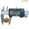 4 Mukhi Rudraksha Nepal - ( 20.55 Mm )
