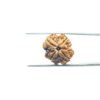 4-Mukhi-Rudraksha-Nepal-20.65-Mm-Mp-C.jpg