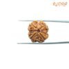4 Mukhi Rudraksha Nepal - ( 20.80 Mm ) 11 4-Mukhi-Rudraksha-Nepal-20.80-Mm-Op-C.jpg
