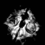 4 Mukhi Rudraksha 18.30 Mm X-Ray