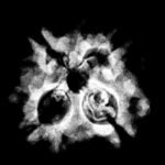 4 Mukhi Rudraksha 19.05 Mm X-Ray
