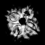 4 Mukhi Rudraksha 19.30 Mm X-Ray