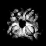 4 Mukhi Rudraksha 19.40 Mm X-Ray