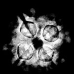 4 Mukhi Rudraksha 19.45 Mm X-Ray