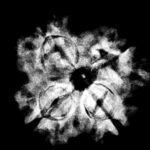 4 Mukhi Rudraksha 19.85 Mm X-Ray